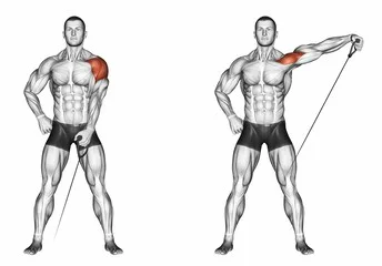 Standing db side lateral raises hot sale
